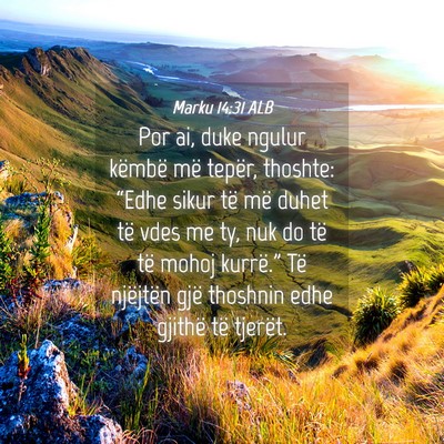 Picture 04 - Marku 14:31 ALB - Por ai, duke ngulur këmbë më tepër, thoshte: - Bible Verse Picture