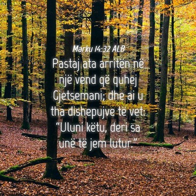 Picture 04 - Marku 14:32 ALB - Pastaj ata arritën në një vend që quhej - Bible Verse Picture