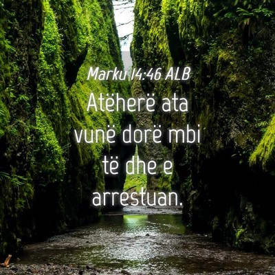Picture 04 - Marku 14:46 ALB - Atëherë ata vunë dorë mbi të dhe e - Bible Verse Picture