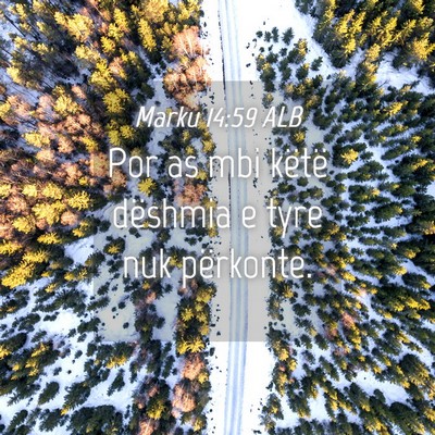 Picture 04 - Marku 14:59 ALB - Por as mbi këtë dëshmia e tyre nuk - Bible Verse Picture