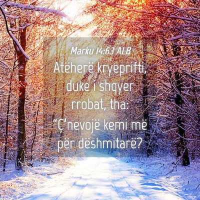 Picture 04 - Marku 14:63 ALB - Atëherë kryeprifti, duke i shqyer rrobat, tha: - Bible Verse Picture