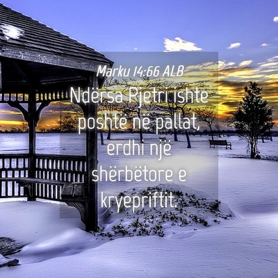 Picture 04 - Marku 14:66 ALB - Ndërsa Pjetri ishte poshtë në pallat, erdhi - Bible Verse Picture
