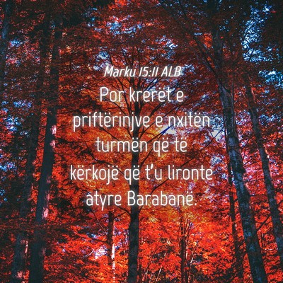 Picture 04 - Marku 15:11 ALB - Por krerët e priftërinjve e nxitën turmën që - Bible Verse Picture