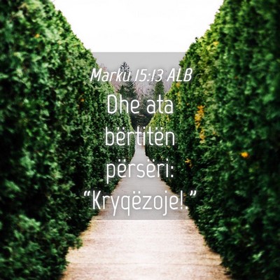 Picture 04 - Marku 15:13 ALB - Dhe ata bërtitën përsëri: - Bible Verse Picture