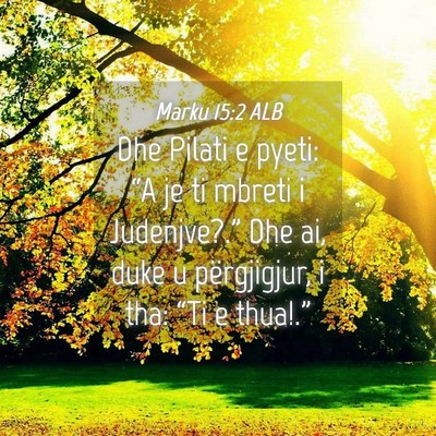 Picture 04 - Marku 15:2 ALB - Dhe Pilati e pyeti: “A je ti mbreti i - Bible Verse Picture