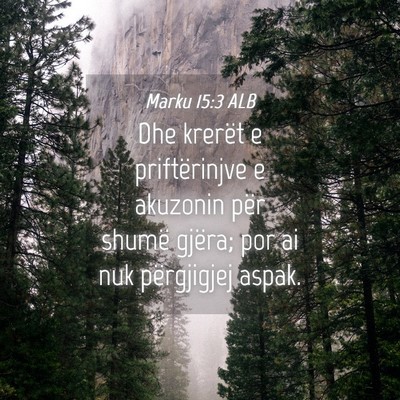 Picture 04 - Marku 15:3 ALB - Dhe krerët e priftërinjve e akuzonin për - Bible Verse Picture