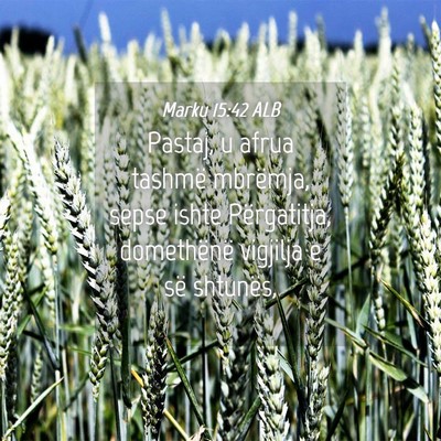 Picture 04 - Marku 15:42 ALB - Pastaj, u afrua tashmë mbrëmja, sepse ishte - Bible Verse Picture