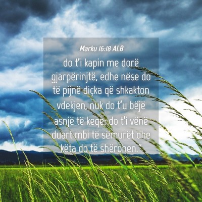 Picture 04 - Marku 16:18 ALB - do t’i kapin me dorë gjarpërinjtë, edhe - Bible Verse Picture