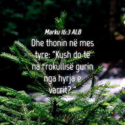 Picture 04 - Marku 16:3 ALB - Dhe thonin në mes tyre: “Kush do të na - Bible Verse Picture