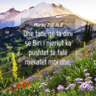 Picture 04 - Marku 2:10 ALB - Dhe tani, që ta dini se Biri i njeriut ka - Bible Verse Picture