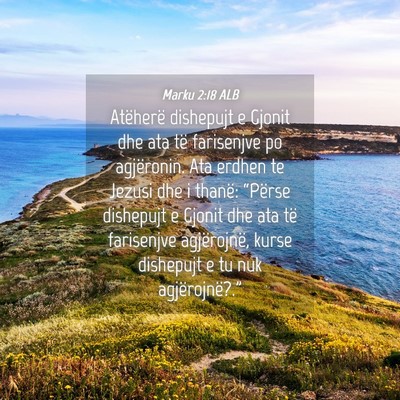 Picture 04 - Marku 2:18 ALB - Atëherë dishepujt e Gjonit dhe ata të - Bible Verse Picture