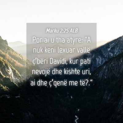 Picture 04 - Marku 2:25 ALB - Por ai u tha atyre: “A nuk keni lexuar vallë - Bible Verse Picture