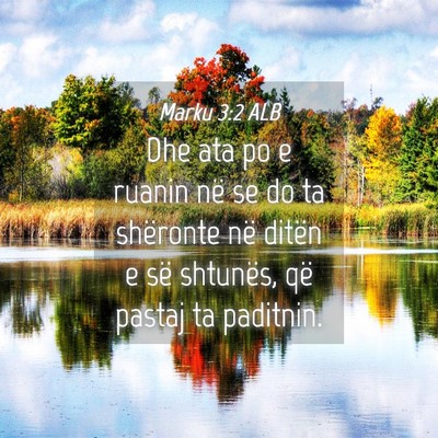 Picture 04 - Marku 3:2 ALB - Dhe ata po e ruanin në se do ta shëronte në - Bible Verse Picture
