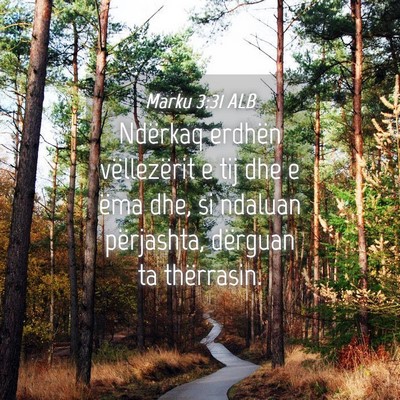 Picture 04 - Marku 3:31 ALB - Ndërkaq erdhën vëllezërit e tij dhe e ëma - Bible Verse Picture