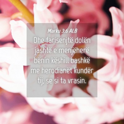 Picture 04 - Marku 3:6 ALB - Dhe farisenjtë dolën jashtë e menjëherë - Bible Verse Picture
