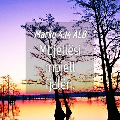 Picture 04 - Marku 4:14 ALB - Mbjellësi mbjell - Bible Verse Picture