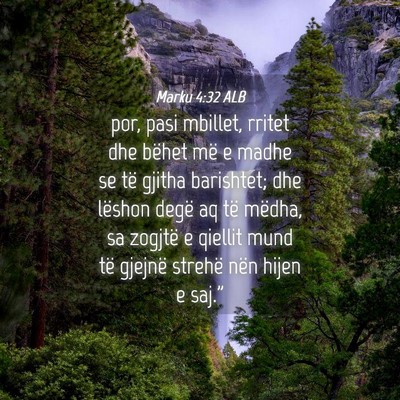 Picture 04 - Marku 4:32 ALB - por, pasi mbillet, rritet dhe bëhet më e madhe - Bible Verse Picture