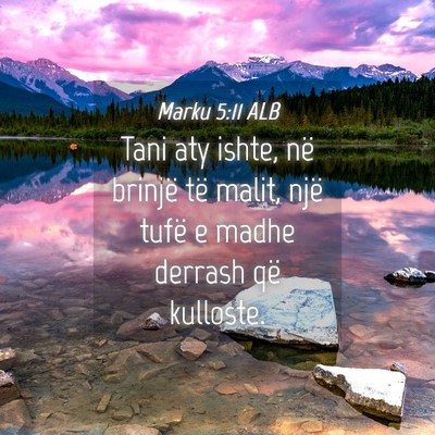 Picture 04 - Marku 5:11 ALB - Tani aty ishte, në brinjë të malit, një tufë - Bible Verse Picture
