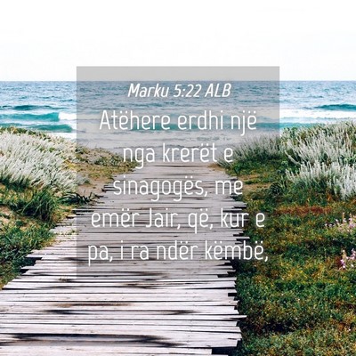 Picture 04 - Marku 5:22 ALB - Atëhere erdhi një nga krerët e sinagogës, me - Bible Verse Picture