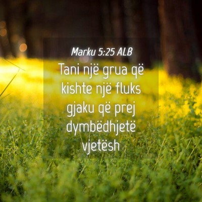 Picture 04 - Marku 5:25 ALB - Tani një grua që kishte një fluks gjaku që - Bible Verse Picture