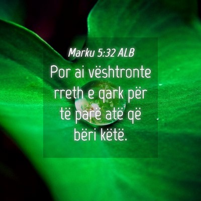 Picture 04 - Marku 5:32 ALB - Por ai vështronte rreth e qark për të parë - Bible Verse Picture