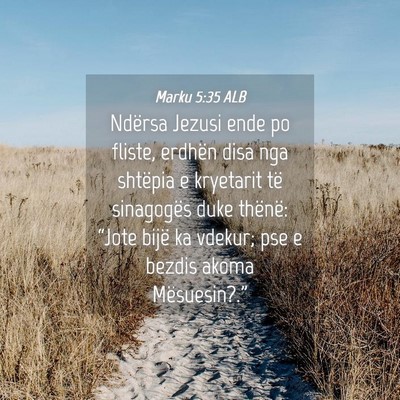 Picture 04 - Marku 5:35 ALB - Ndërsa Jezusi ende po fliste, erdhën disa nga - Bible Verse Picture