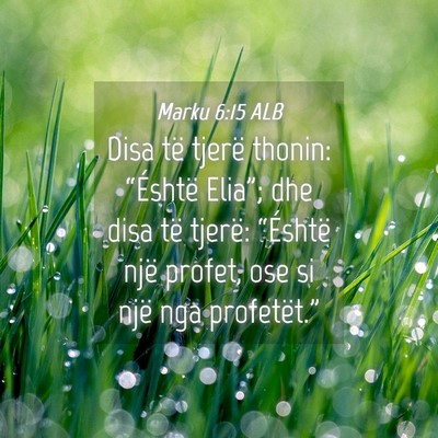 Picture 04 - Marku 6:15 ALB - Disa të tjerë thonin: “Éshtë Elia”; dhe - Bible Verse Picture