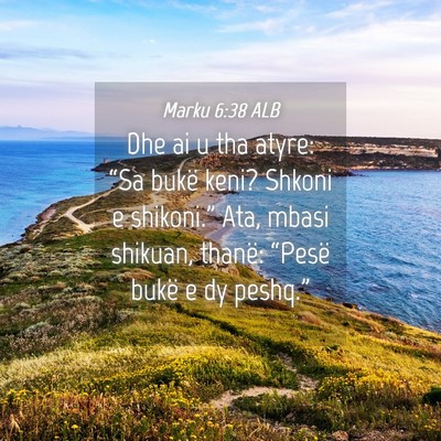 Picture 04 - Marku 6:38 ALB - Dhe ai u tha atyre: “Sa bukë keni? Shkoni e - Bible Verse Picture