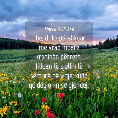 Picture 04 - Marku 6:55 ALB - dhe, duke përshkuar me vrap mbarë krahinën - Bible Verse Picture
