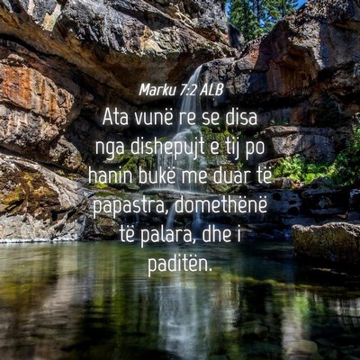 Picture 04 - Marku 7:2 ALB - Ata vunë re se disa nga dishepujt e tij po hanin - Bible Verse Picture
