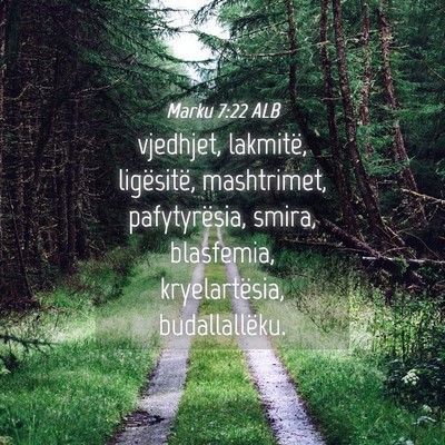 Picture 04 - Marku 7:22 ALB - vjedhjet, lakmitë, ligësitë, mashtrimet, - Bible Verse Picture