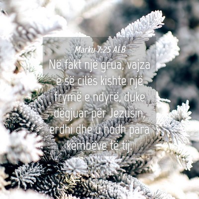 Picture 04 - Marku 7:25 ALB - Në fakt një grua, vajza e së cilës kishte - Bible Verse Picture