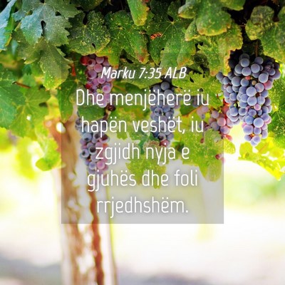 Picture 04 - Marku 7:35 ALB - Dhe menjëherë iu hapën veshët, iu zgjidh nyja - Bible Verse Picture