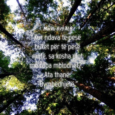 Picture 04 - Marku 8:19 ALB - Kur ndava të pesë bukët për të pesë mijtë, - Bible Verse Picture
