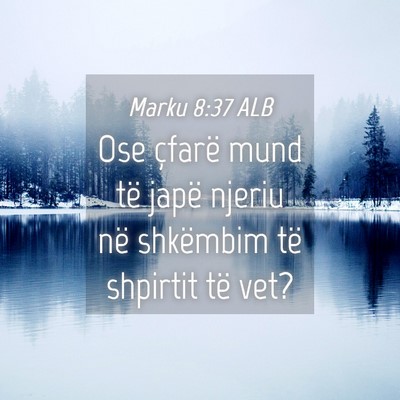 Picture 04 - Marku 8:37 ALB - Ose çfarë mund të japë njeriu në shkëmbim - Bible Verse Picture