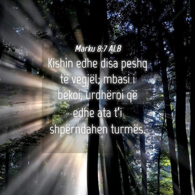 Picture 04 - Marku 8:7 ALB - Kishin edhe disa peshq të vegjël; mbasi i - Bible Verse Picture