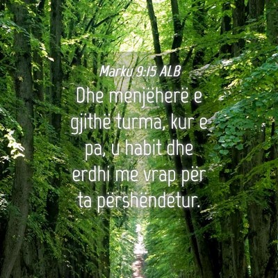 Picture 04 - Marku 9:15 ALB - Dhe menjëherë e gjithë turma, kur e pa, u - Bible Verse Picture