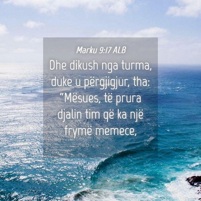 Picture 04 - Marku 9:17 ALB - Dhe dikush nga turma, duke u përgjigjur, tha: - Bible Verse Picture