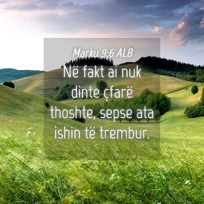 Picture 04 - Marku 9:6 ALB - Në fakt ai nuk dinte çfarë thoshte, sepse ata - Bible Verse Picture