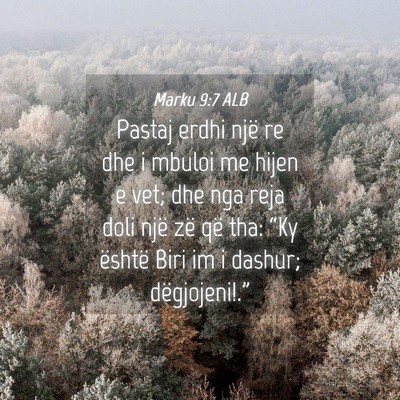 Picture 04 - Marku 9:7 ALB - Pastaj erdhi një re dhe i mbuloi me hijen e vet; - Bible Verse Picture