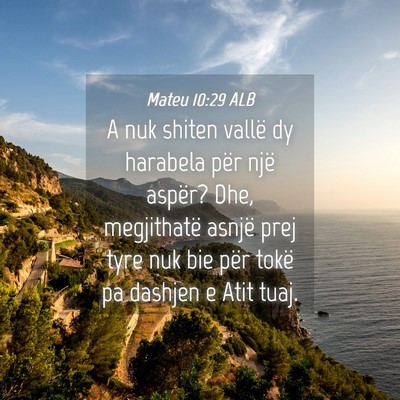 Picture 04 - Mateu 10:29 ALB - A nuk shiten vallë dy harabela për një aspër? - Bible Verse Picture