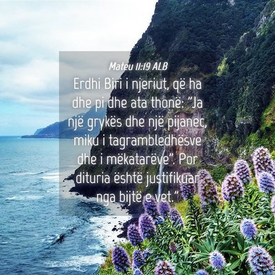 Picture 04 - Mateu 11:19 ALB - Erdhi Biri i njeriut, që ha dhe pi dhe ata - Bible Verse Picture