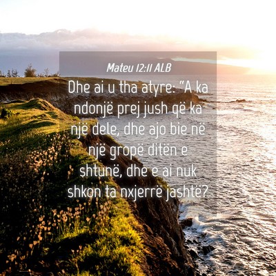 Picture 04 - Mateu 12:11 ALB - Dhe ai u tha atyre: “A ka ndonjë prej jush që - Bible Verse Picture