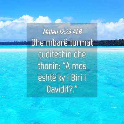 Picture 04 - Mateu 12:23 ALB - Dhe mbarë turmat çuditeshin dhe thonin: “A - Bible Verse Picture
