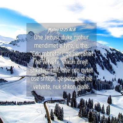 Picture 04 - Mateu 12:25 ALB - Dhe Jezusi, duke njohur mendimet e tyre, u tha: - Bible Verse Picture
