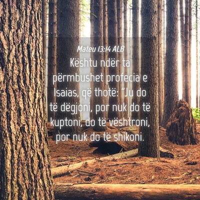 Picture 04 - Mateu 13:14 ALB - Kështu ndër ta përmbushet profecia e Isaias, - Bible Verse Picture