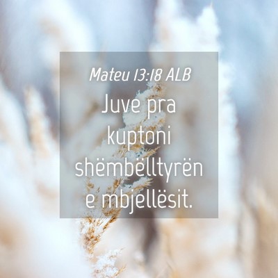Picture 04 - Mateu 13:18 ALB - Juve pra kuptoni shëmbëlltyrën e - Bible Verse Picture