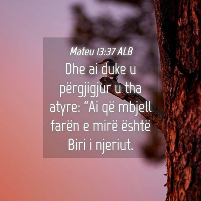 Picture 04 - Mateu 13:37 ALB - Dhe ai duke u përgjigjur u tha atyre: “Ai që - Bible Verse Picture