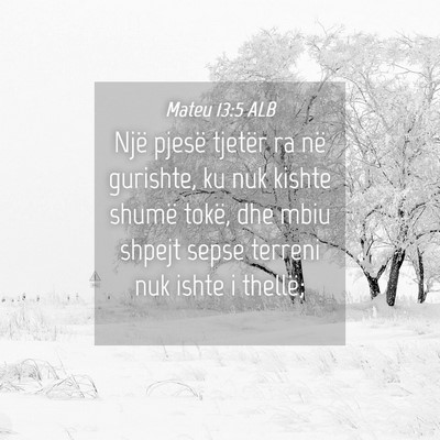 Picture 04 - Mateu 13:5 ALB - Një pjesë tjetër ra në gurishte, ku nuk - Bible Verse Picture