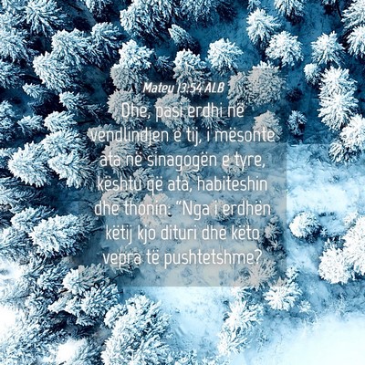 Picture 04 - Mateu 13:54 ALB - Dhe, pasi erdhi në vendlindjen e tij, i mësonte - Bible Verse Picture